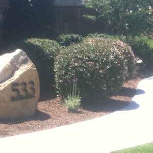 Yard Boulder